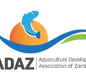 adaz logo