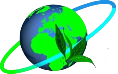 Global Network
