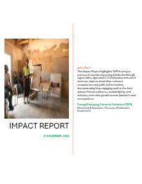 YEFI Impact Report 2024 Preview
