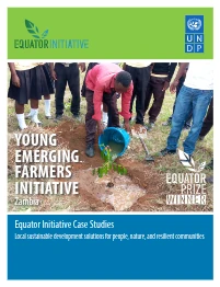 UNDP Case Study Preview